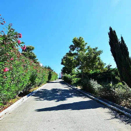 Hilltop Oasis Lisboa