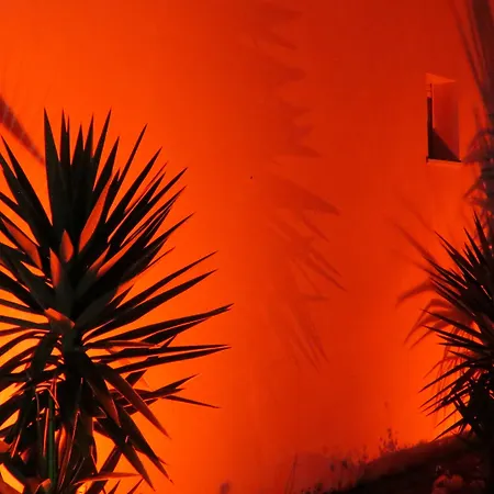 Hilltop Oasis Lisboa Hotel