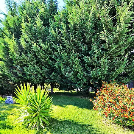 Hilltop Oasis Lisboa