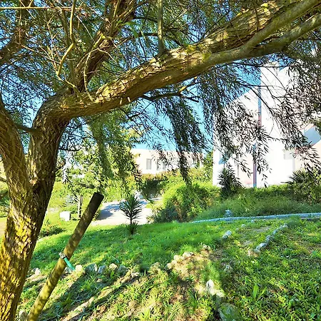 Hotel Hilltop Oasis Lisboa Oeiras