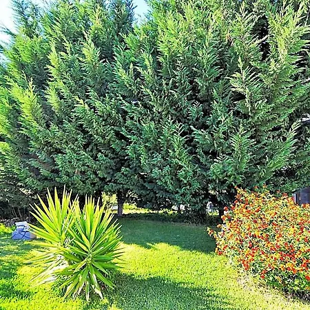 Hilltop Oasis Lisboa 4* Oeiras