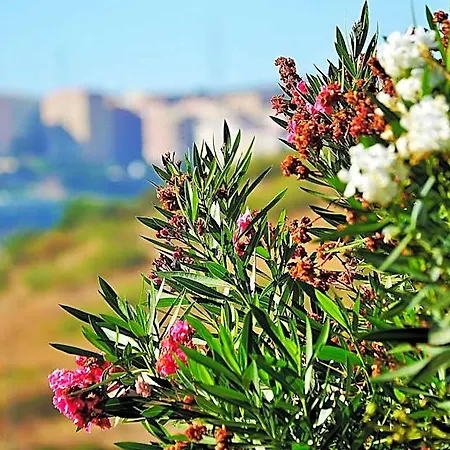 Hilltop Oasis Lisboa Ξενοδοχείο Oeiras