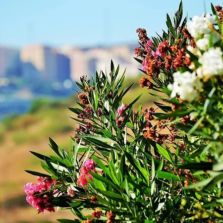 Hotel Hilltop Oasis Lisboa Oeiras