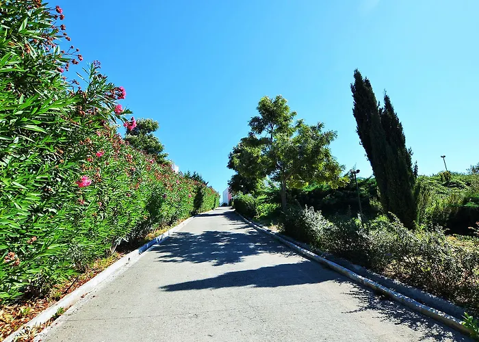 Hilltop Oasis Lisboa