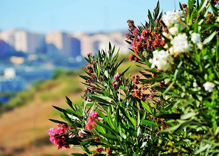 מלון Hilltop Oasis Lisboa אוייראס